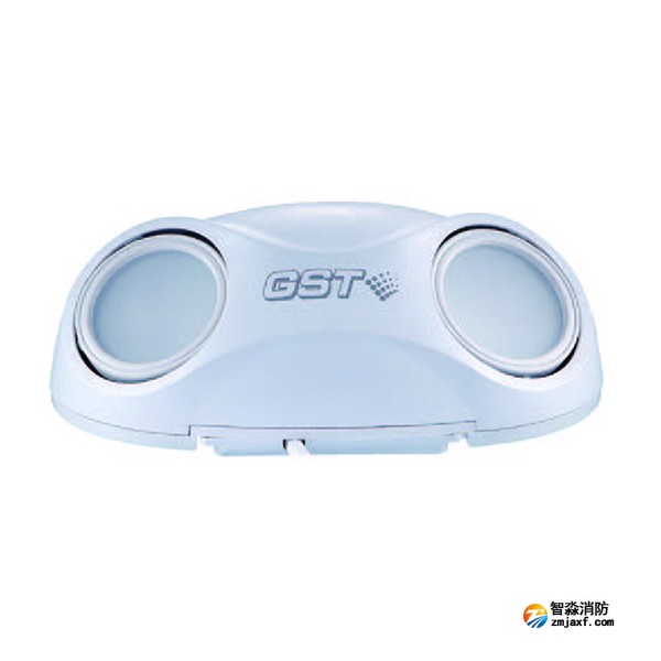 天津海灣HW-ZFJC-E3W-N660/E6W-N661集中電源集中控制型消防應(yīng)急照明燈具